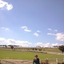 태산농장 이미지