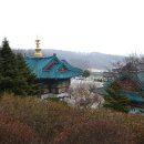 법륜사 Daum카페