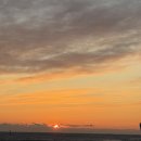 화신 | 영덕 홍게 포장 화신홍게 솔직후기