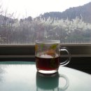 창가의 풍경 이미지