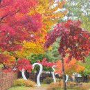 우가네맛찜 이미지