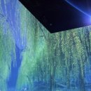 ‘백년기업’ 유한양행의 사회환원…시민 품 안긴 윌로우하우스 이미지
