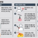 인간 수명을 500세 이상 늘리는 것이 가능 이미지