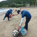 금갑해수욕장 이미지