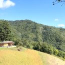 우리황토집민박 이미지