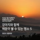 영등포 동물병원 이미지