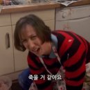 그래그릭 이미지