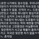 미국 차량에 라이트가 과한 이유 이미지