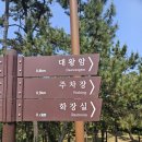 문부공원 | 울산산책코스 대왕암공원 울기등대 대왕암