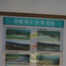 하천섬(솔밭) 이미지