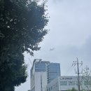[K-Move] 해외 취업의 첫 걸음 케이무브 과정 (신청 방법 및 후기)