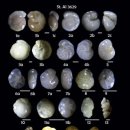 지구의 자전 | 인간이 지구를 느리게 만들고 있다 — 360만 년 만의 전례 없는 자전 감속