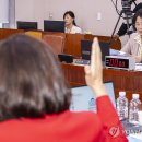 &#39;더 센 특검법&#39; 與 주도 법사위 통과…3대 특검 재판 중계 이미지