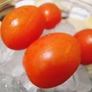 (주) 삿포로 참치 이미지