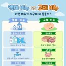 에코랑이