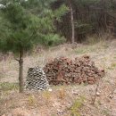 장안동 백자가마터 이미지