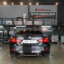 아이언게러지 이미지