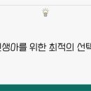 엠브레이스 이미지