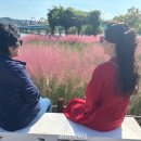 낙동강변 이미지