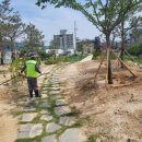 관수야관수 이미지