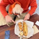 연천회관 | 연천 애견동반 카페 연천회관 드라이브 다녀오기