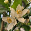 취미 타로 이미지