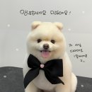 멍발소 하우스 이미지