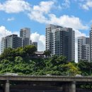 뱃고동 선착장 이미지