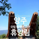 12월22(금)- 12월23(토) 1박 2일 휴양림 여행 이미지