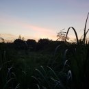 더오믈렛 이미지