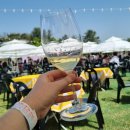 구름산책 | 2026 워커힐 스프링 와인페어 구름위의산책 참가 후기