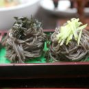 성남바다 이미지