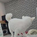 보리다방 이미지