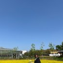 청주 유채꽃 2024 도시농업 페스티벌 방문 후기