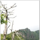 지리산풍경 이미지