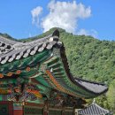 산소한우 이미지