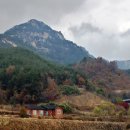 황매콩마실 이미지