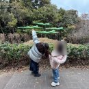 장사도해상공원 | 통영여행 필수코스 장사도 해상공원 동백꽃 개화 실시간 후기