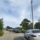 봉서2리 | 경북 문경 가볼만한곳 봉천사 포토존 개미취 축제 후기