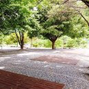 [충청북도 제천시] 월악한울오토캠핑장