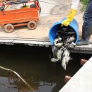 도곡낚시터 이미지