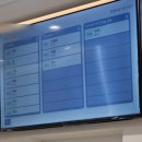 21세기종합동물병원 | 광교 24시 동물병원 노령묘 고양이 건강검진 후기