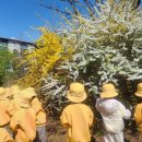 죽리초등학교(병설유치원) 이미지