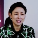 히바치텐 이미지