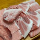 많이 찾는 밍크고래와 참다랑어 포항맛집
