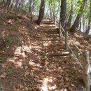 푸른솔농장3 이미지