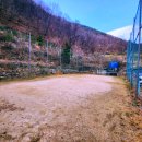 숲속 당구 이미지