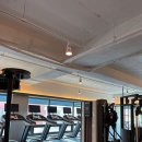 비비드 휘트니스 이미지