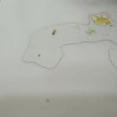 소중한소아청소년과의원 이미지