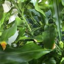 신비모터스 이미지